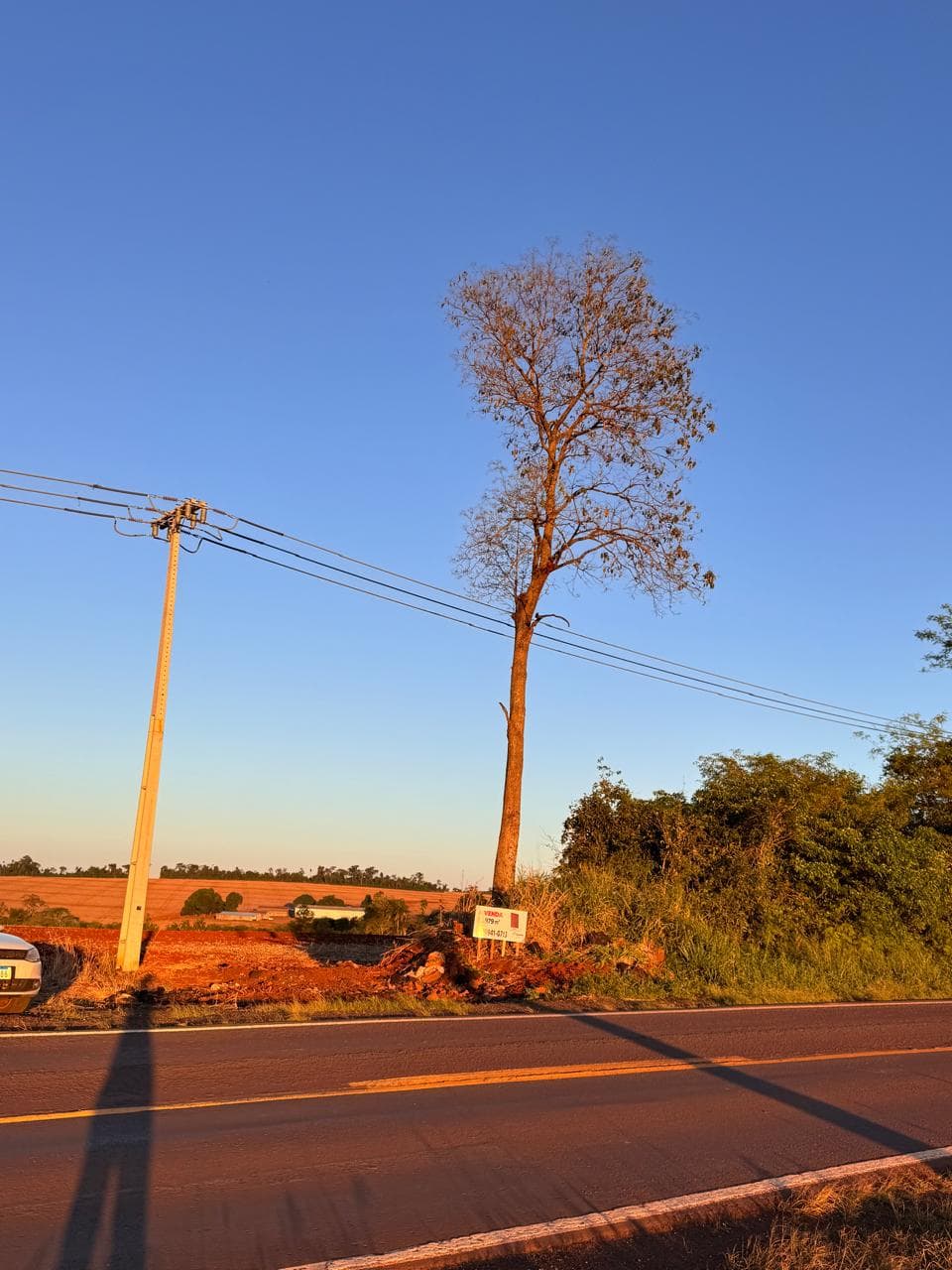 Área Rural Linha Alto Alegria 130,8m frente PR